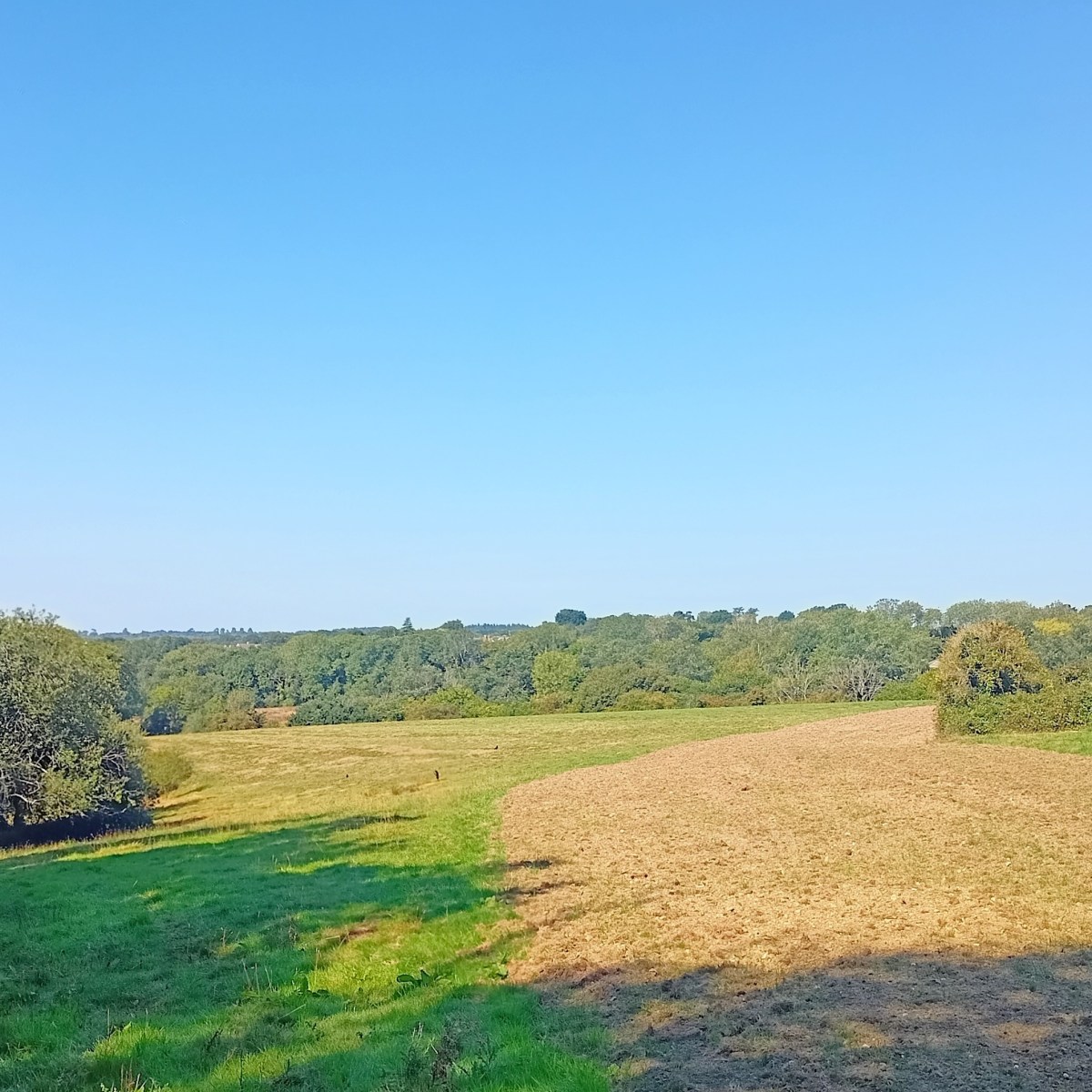 Halbe Stunde Hastings